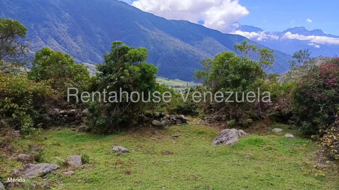 Terreno (Finca) en Venta en La Culata, Merida - 4