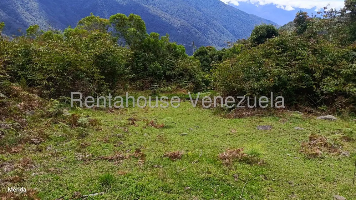 Terreno (Finca) en Venta en La Culata, Merida - 6