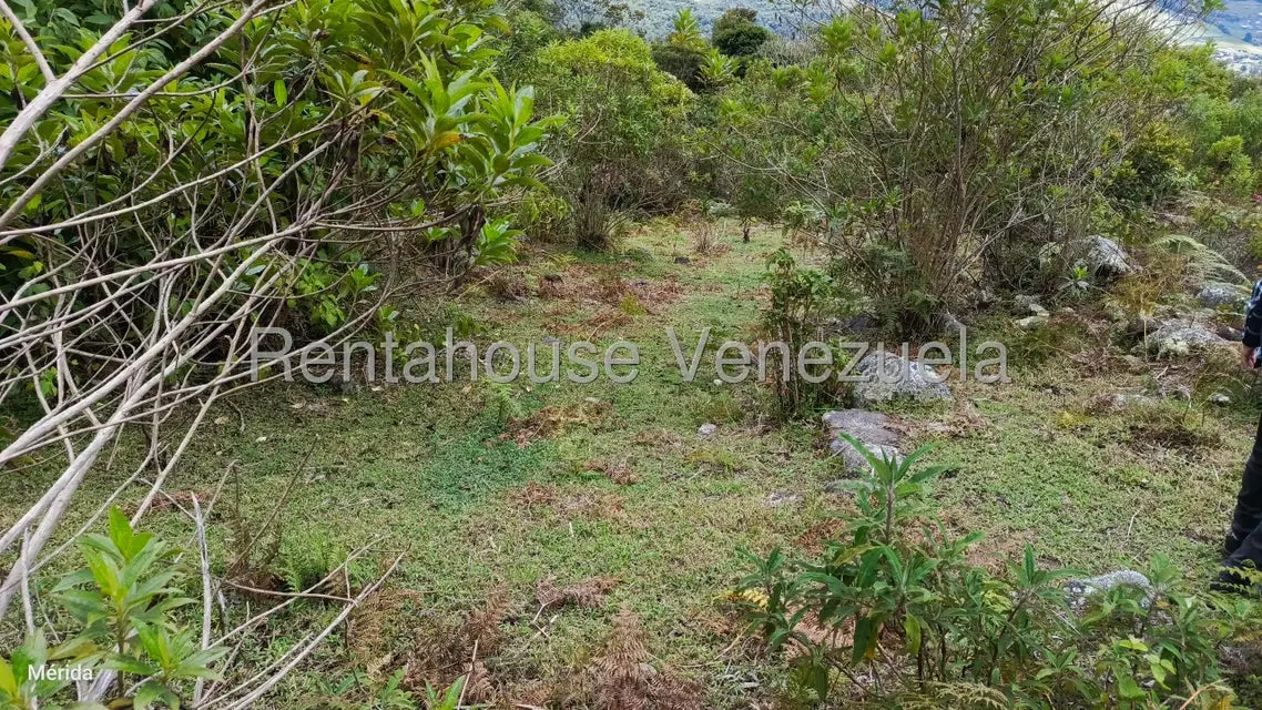 Terreno (Finca) en Venta en La Culata, Merida - 7
