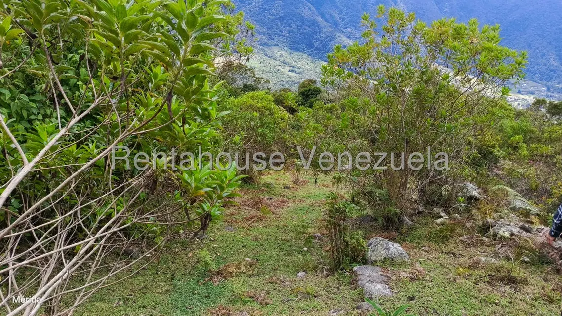 Terreno (Finca) en Venta en La Culata, Merida - 8