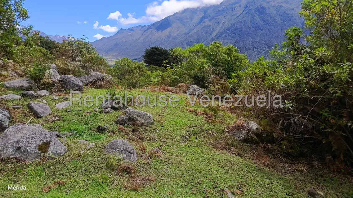 Terreno (Finca) en Venta en La Culata, Merida - 9