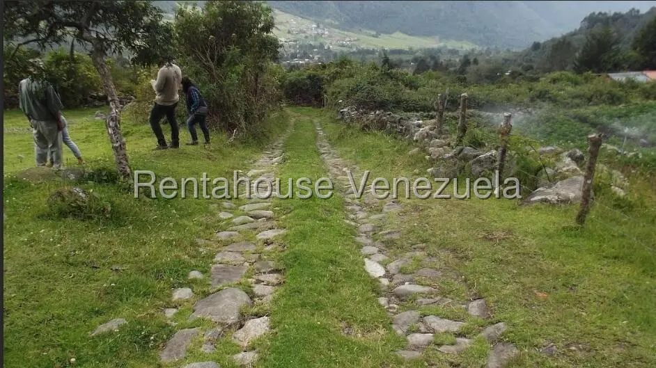 Terreno (Finca) en Venta en La Culata, Merida - 10