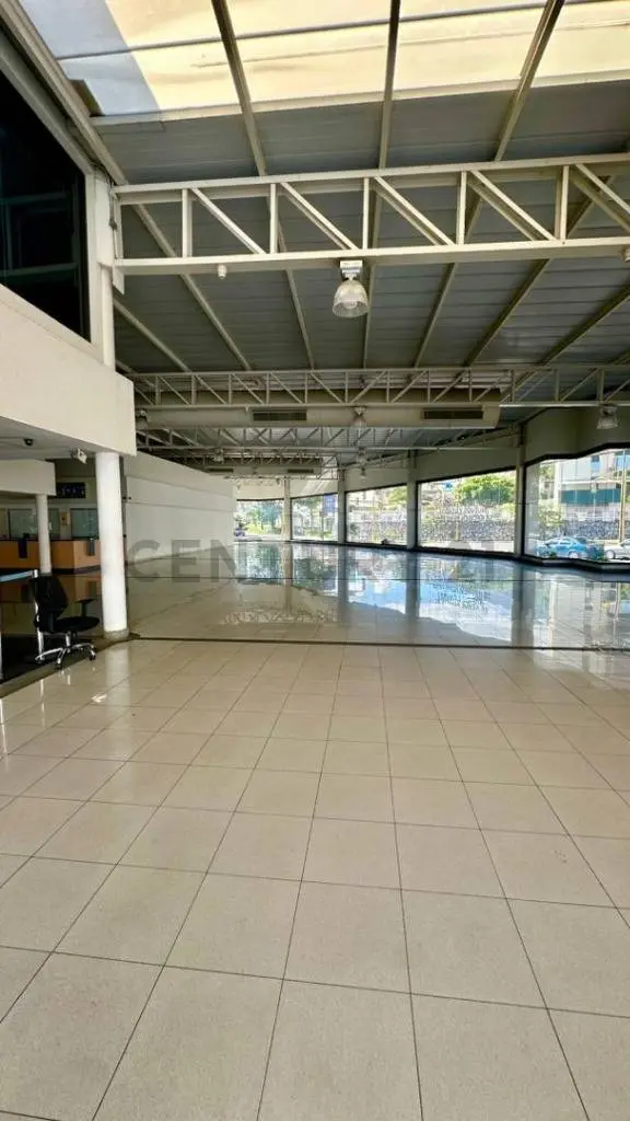 alquiler de concesionaruio — 2