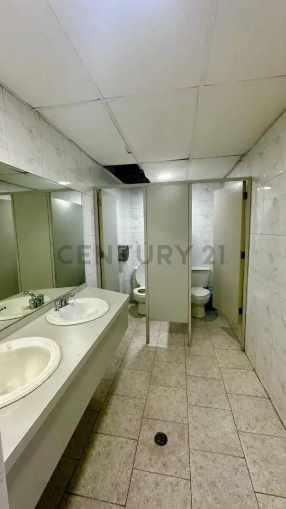 alquiler de concesionaruio — 3