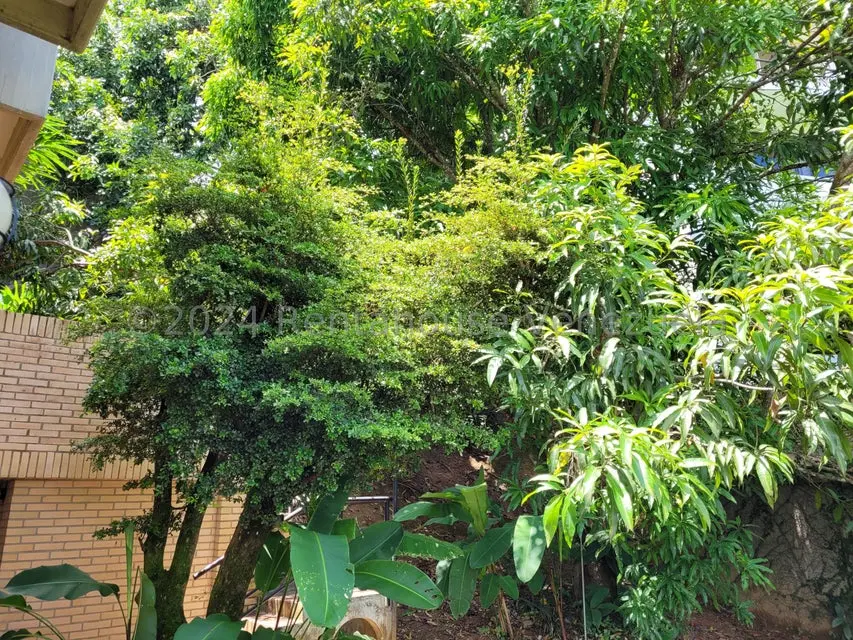 Casa (Multipes Niveles) en Venta en Macaracuay, Distrito Metropolitano - 33